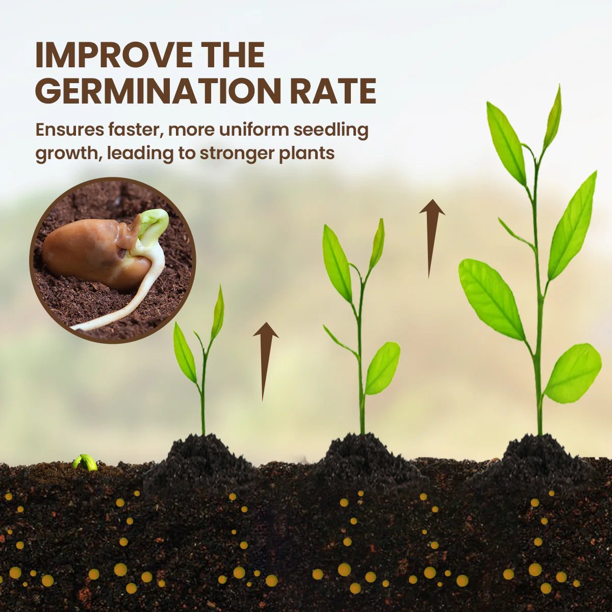 🏆 Zeitlich begrenztes Angebot 🌳 Soil Pro Activator