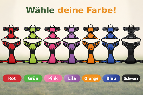 Haustiergeschirr – Die beste Alternative zu Schlupfleinen