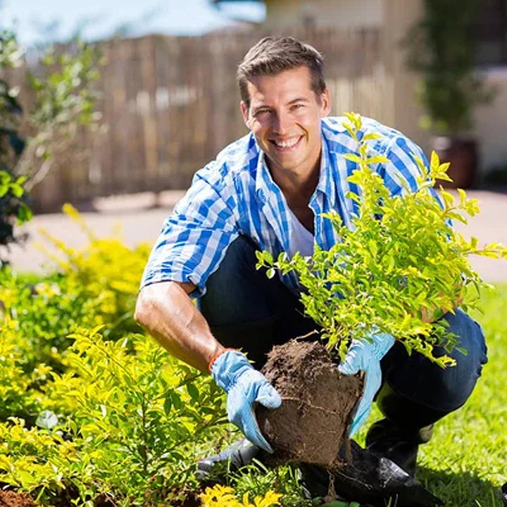 🏆 Zeitlich begrenztes Angebot 🌳 Soil Pro Activator