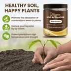 🏆 Zeitlich begrenztes Angebot 🌳 Soil Pro Activator