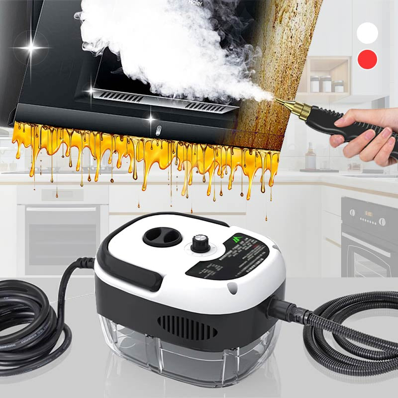 💨 INDUSTRIELLE DAMPFREINIGER 2500 W – Chemikalienfreie Desinfektion und Fettentfernung, ideal für Küchen 🌟🧼