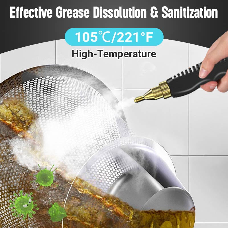 💨 INDUSTRIELLE DAMPFREINIGER 2500 W – Chemikalienfreie Desinfektion und Fettentfernung, ideal für Küchen 🌟🧼