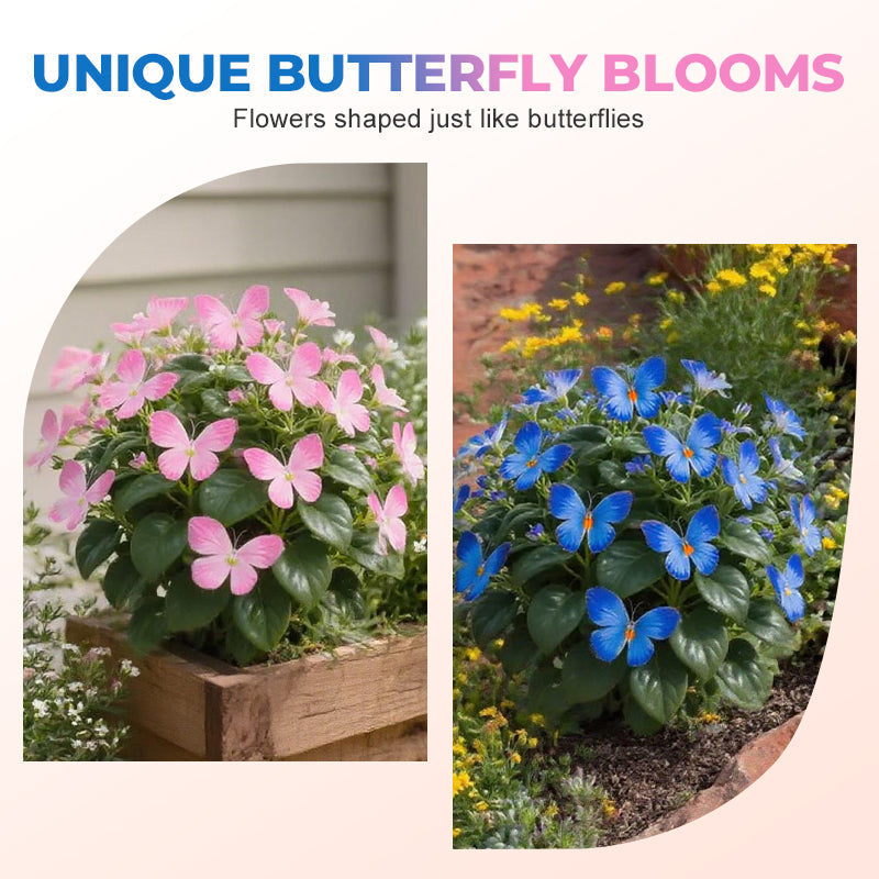 🦋 Verspielte, schmetterlingsförmige Blumensamen ✨