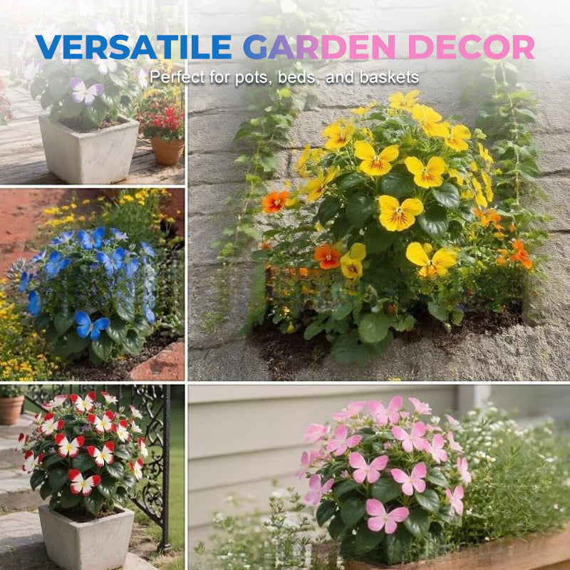🦋 Verspielte, schmetterlingsförmige Blumensamen ✨