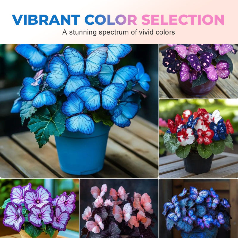 🦋 Verspielte, schmetterlingsförmige Blumensamen ✨