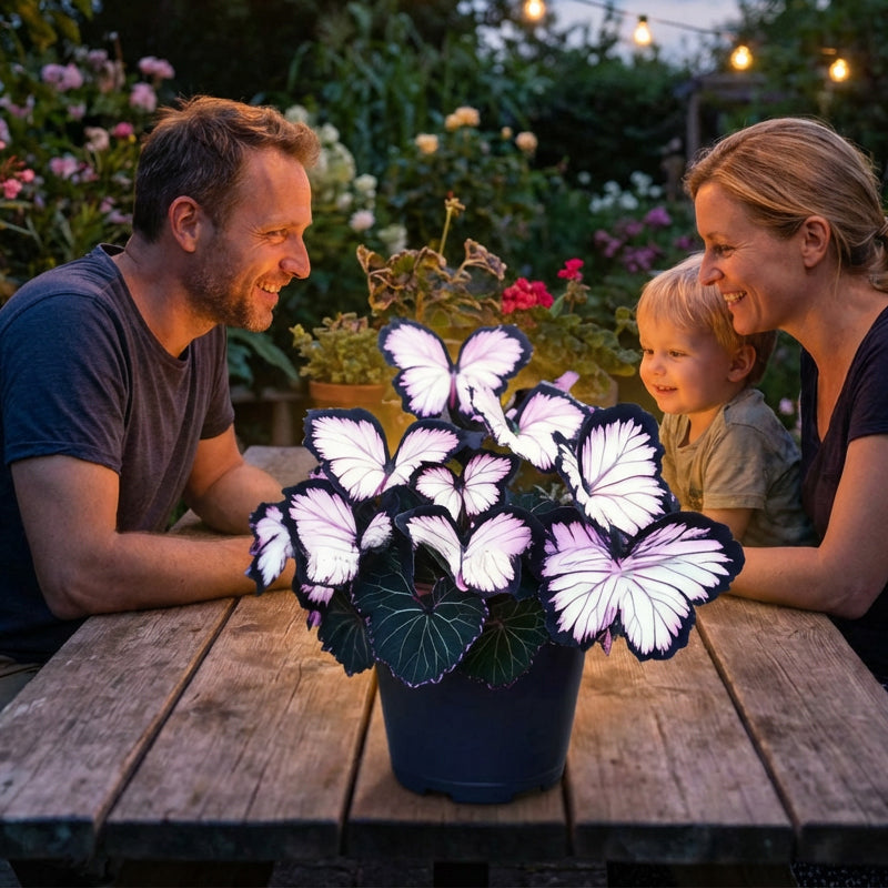 🦋 Verspielte, schmetterlingsförmige Blumensamen ✨