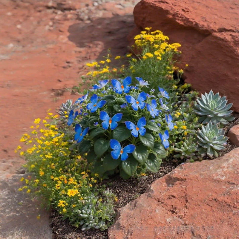 🦋 Verspielte, schmetterlingsförmige Blumensamen ✨