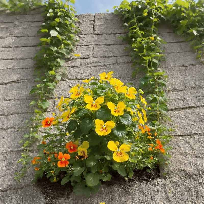 🦋 Verspielte, schmetterlingsförmige Blumensamen ✨