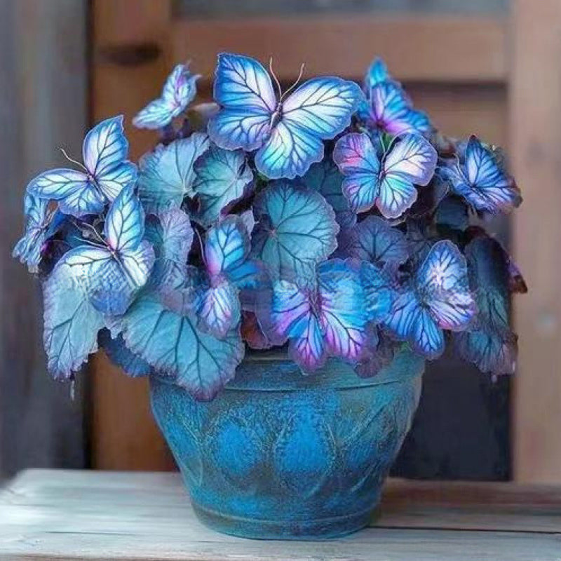 🦋 Verspielte, schmetterlingsförmige Blumensamen ✨
