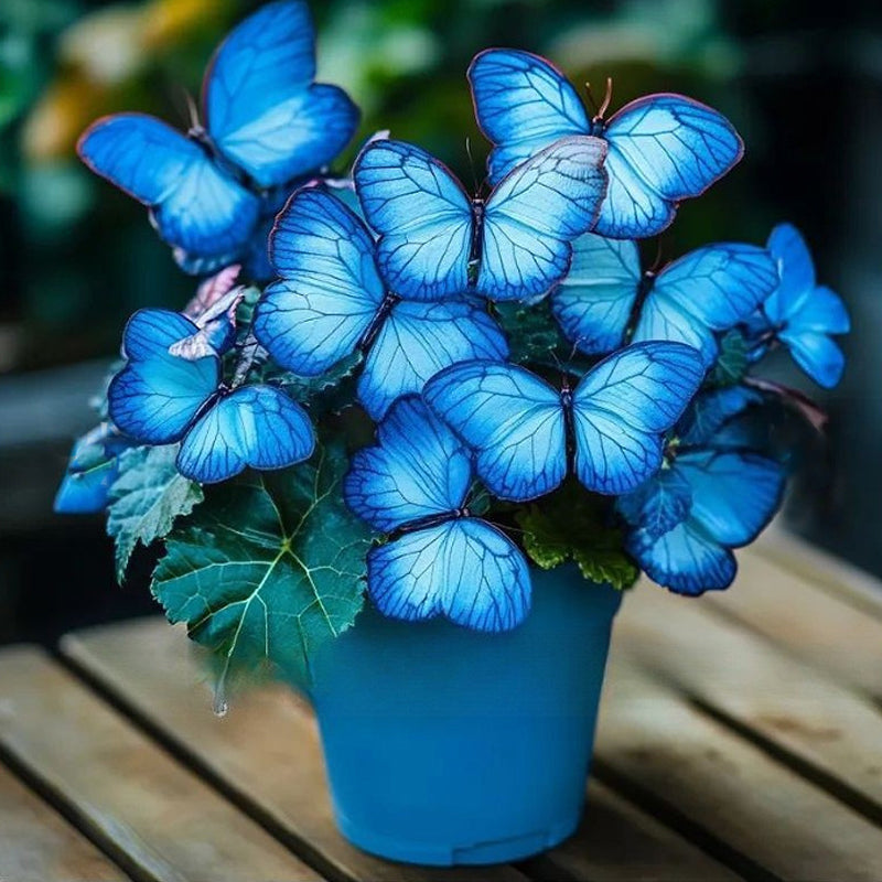 🦋 Verspielte, schmetterlingsförmige Blumensamen ✨