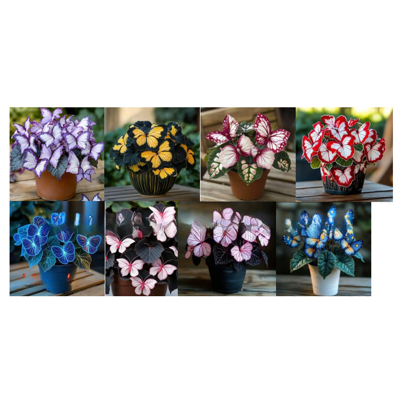 🦋 Verspielte, schmetterlingsförmige Blumensamen ✨
